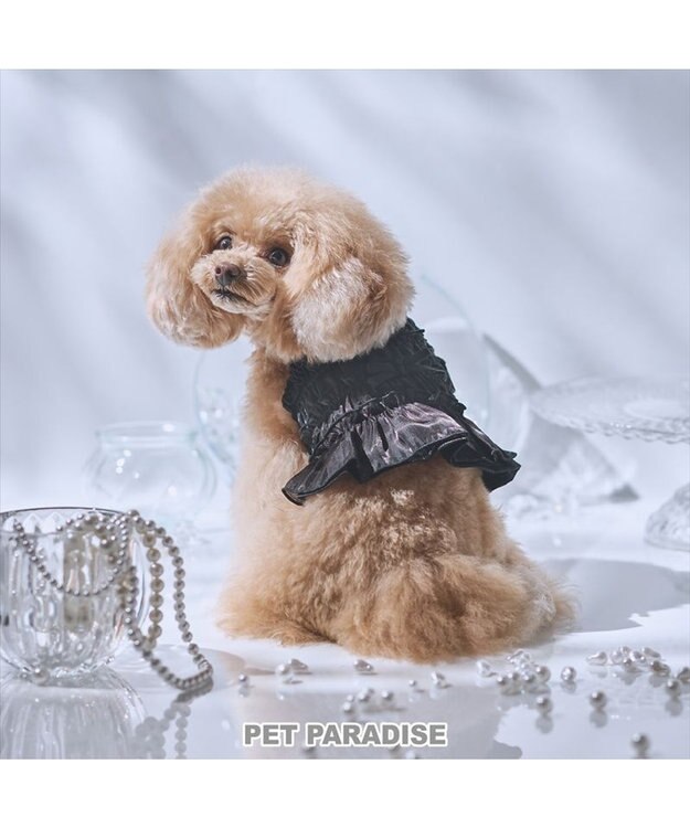 PET PARADISE cherircouture シャーリング キャミソール 《ブラック》 小型犬 ブラック