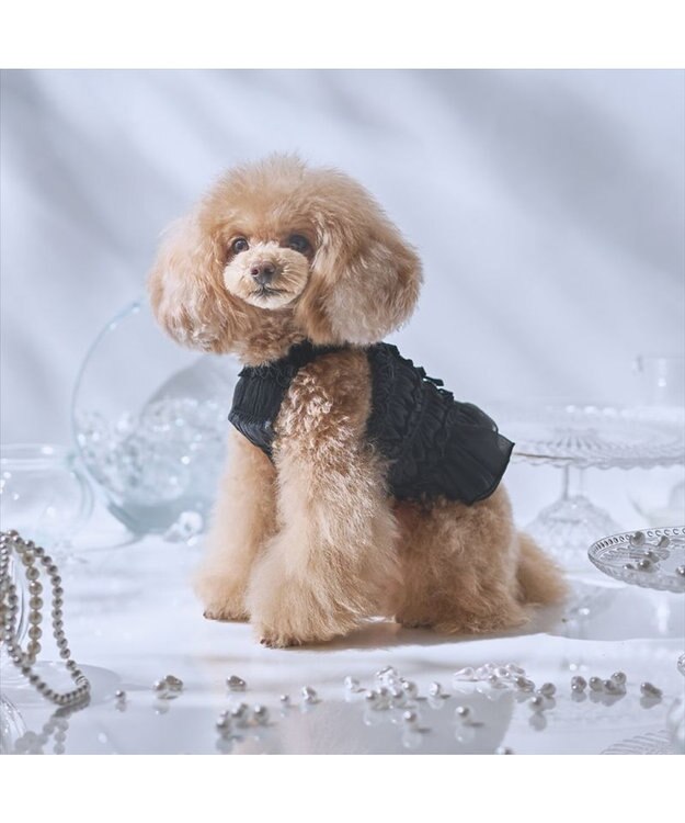 PET PARADISE cherircouture シャーリング キャミソール 《ブラック》 小型犬 ブラック