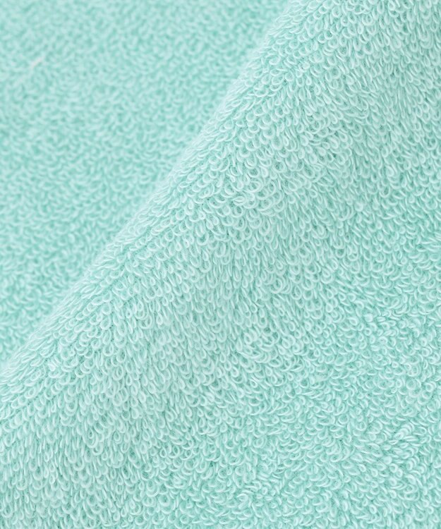 J.PRESS LADIES LIBERTY タオル ハンカチ ライトグリーン系