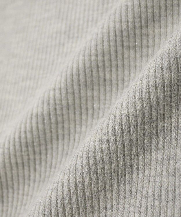 earth music&ecology ラメテレコボートネックプルオーバー Gray