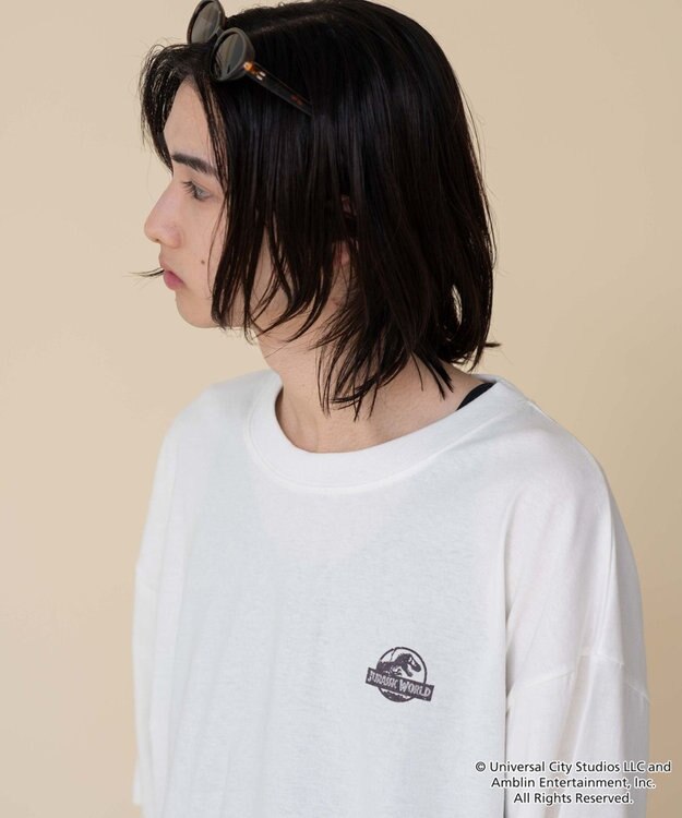 WEGO 【ユニセックス着用ITEM/SMLサイズ展開】JURASSIC　PARKグラフィックT（S） 柄3