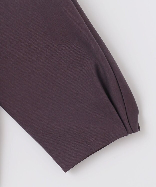 J.PRESS LADIES S TCポンチ ドルマンスリーブ レイヤード カットソー パープル系