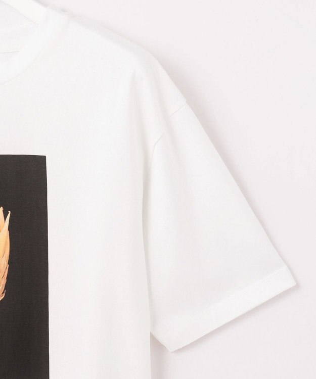 自由区 【カタログ掲載・洗える】PHOTO Tシャツ オフ(フラワーフォト)