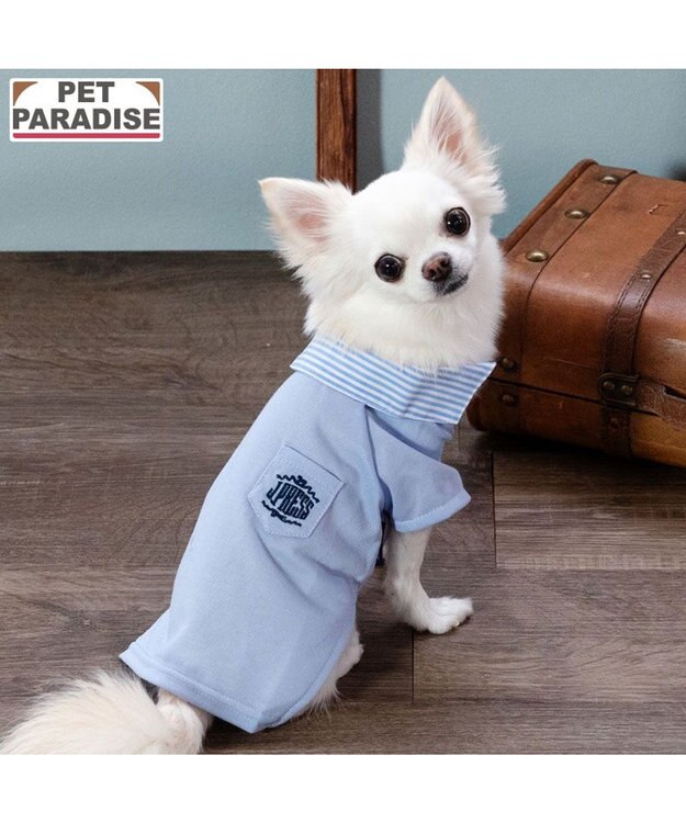 PET PARADISE J.PRESS カノコ スキッパー ポロシャツ 小型犬 ブルー