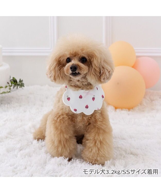 PET PARADISE ペットパラダイス  苺くるくるスタイ  小型犬 ホワイト