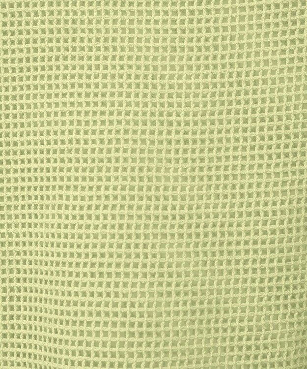 AMERICAN HOLIC メッシュ長袖Ｔシャツ Pistachio