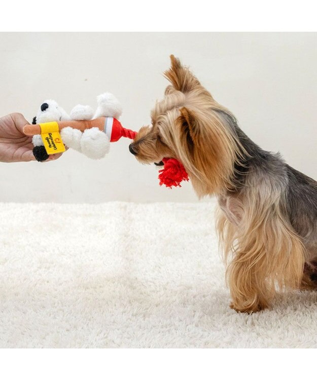 PET PARADISE スヌーピー 75周年 ロープトイ  小型犬 レッド
