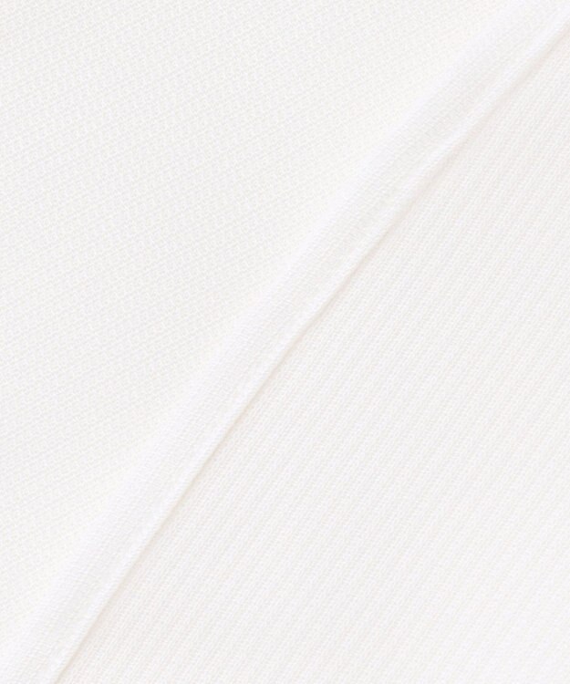 GOTAIRIKU 春夏向け【形態安定】SUMMERPREMIUMPLEATS_ボタンダウン 半袖ドレスシャツ ホワイト系