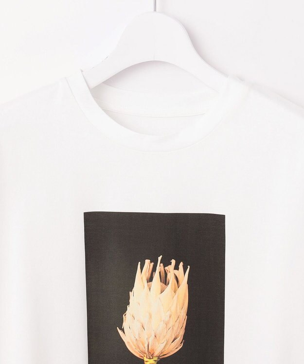自由区 【カタログ掲載・洗える】PHOTO Tシャツ オフ(フラワーフォト)