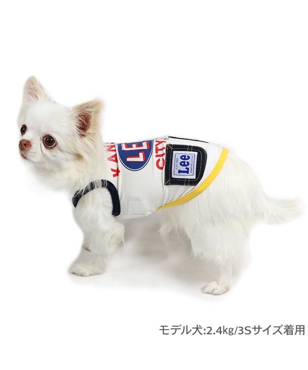 PET PARADISE Lee エコメッシュ カレッジ タンクトップ 小型犬 ホワイト