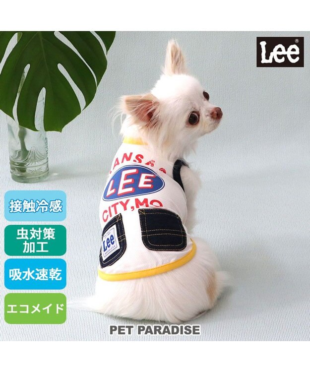 PET PARADISE Lee エコメッシュ カレッジ タンクトップ 小型犬 ホワイト