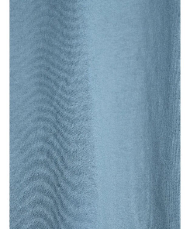 Green Parks ・ＲＡＹ　ＣＡＳＳＩＮ　パールドットロゴＴシャツ Blue