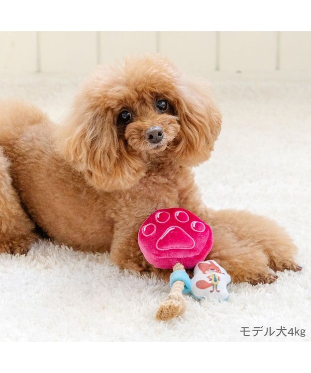 PET PARADISE ディズニー ズートピア アイス トイ パープル