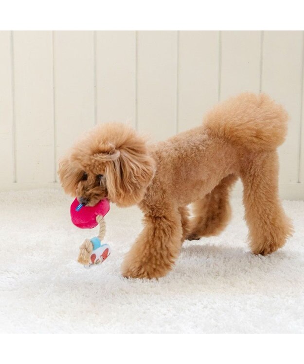 PET PARADISE ディズニー ズートピア アイス トイ パープル