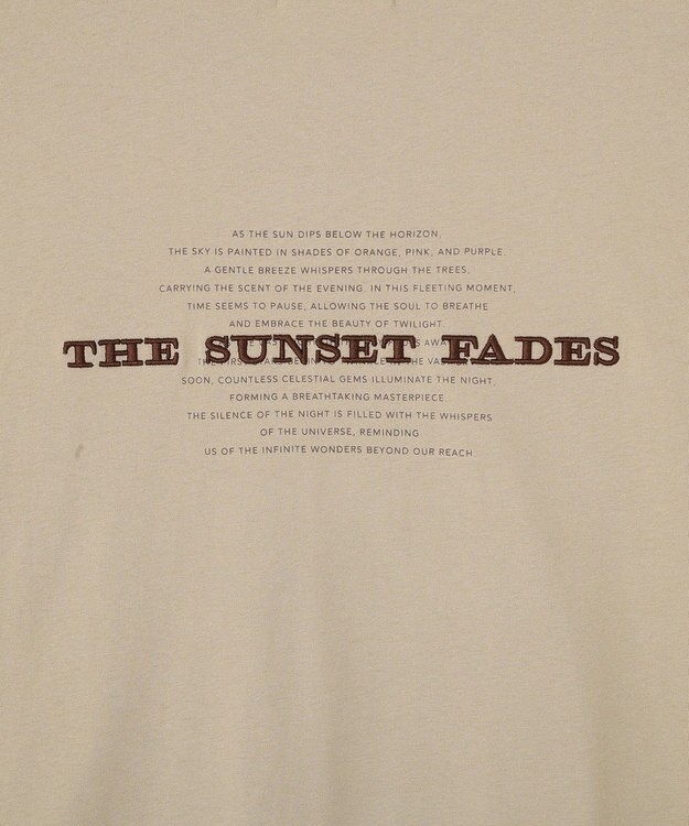 AMERICAN HOLIC STARLY 刺繍ロゴTシャツ Mocha