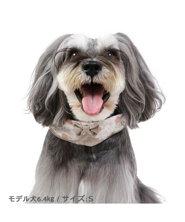 PET PARADISE 花柄 襟付首輪 おしゃれ 【Ｓ】 小型犬 茶系