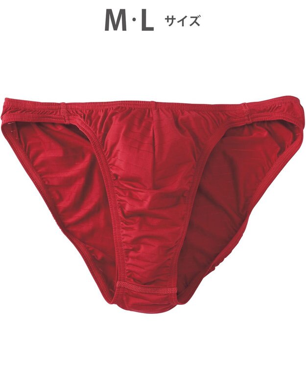 WACOAL MEN ブリーフ フロント立体設計 快適キープ 適度なフィット感 前閉じ ボーダー 下着 GF2401 /ブロス レッド