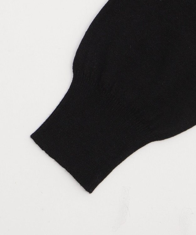 WEGO 【WEB限定/25年秋冬新作/洗濯OK/毛玉レス】ハイネックプルオーバー ブラック