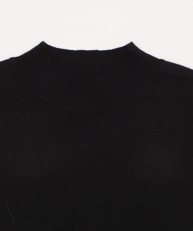 WEGO 【WEB限定/25年秋冬新作/洗濯OK/毛玉レス】ハイネックプルオーバー ブラック