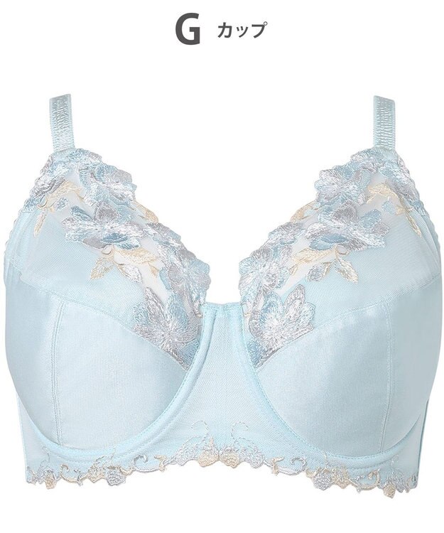 Wing ブラジャー Wing Lesiage 安定感のあるつけごこち 綿混素材(肌側) 【5010シリーズ】 フルカップブラ Hカップまで対応 大きいサイズ PB5010 ウイング／ワコール サックス