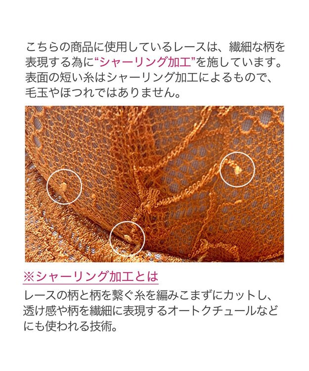 BRADELIS New York 【BRADELIS New York】サポートバックラインブラ23A1 グラマーバストをスッキリさせる補正ブラ マリーゴールド