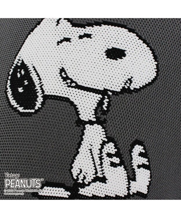 ROOTOTE 8242【スヌーピー：インテリアトート】/ IP.ポーノ.ベビールー.ピーナッツ-6T 01：スヌーピー