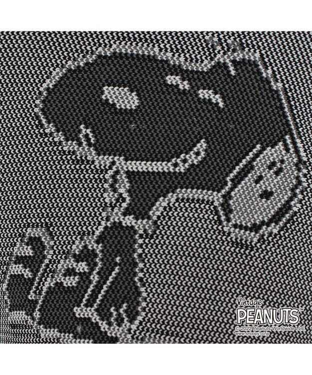 ROOTOTE 8242【スヌーピー：インテリアトート】/ IP.ポーノ.ベビールー.ピーナッツ-6T 01：スヌーピー