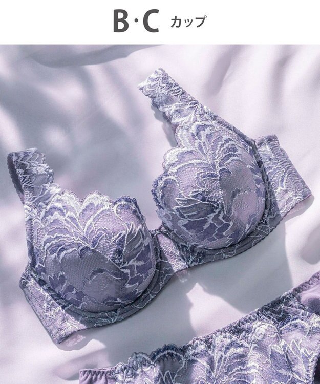 Wing Wing Lesiage 【3000シリーズ】 PB3000 ウイング／ワコール グレー