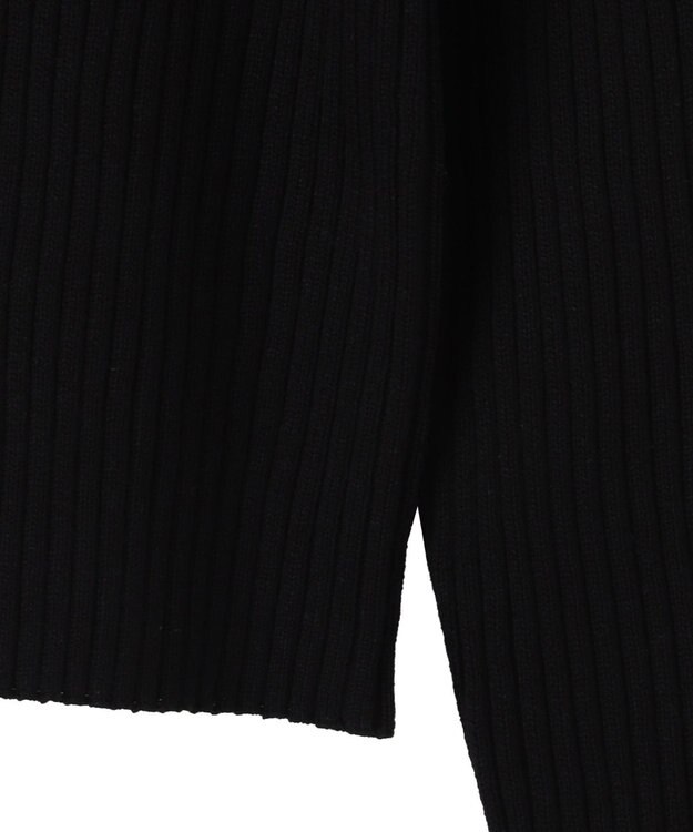 WEGO リブハイネックショートニット ブラック