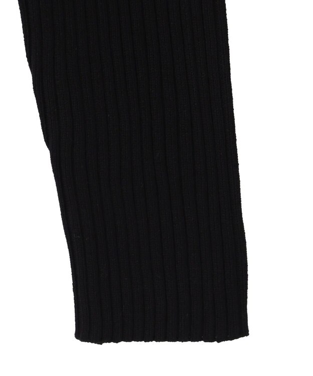 WEGO リブハイネックショートニット ブラック