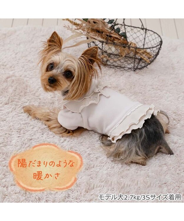 PET PARADISE ペットパラダイス ペティヒートDAN Tシャツ 《小花刺繍》小型犬 ベージュ