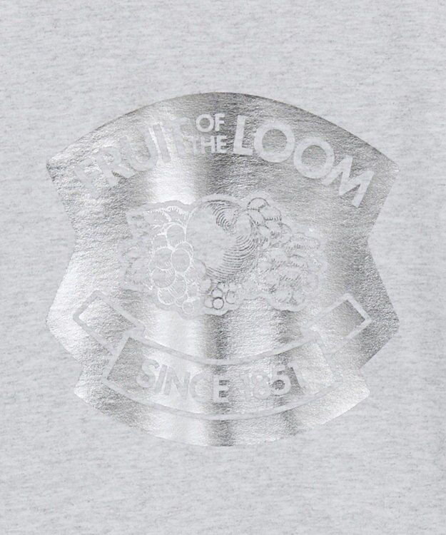 Green Parks ■ＦＲＵＩＴ　ＯＦ　ＴＨＥ　ＬＯＯＭ　箔ロゴｐｔＴＥＥ Gray Mixture