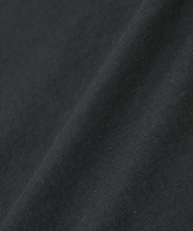 Green Parks ■ＦＲＵＩＴ　ＯＦ　ＴＨＥ　ＬＯＯＭ　箔ロゴｐｔＴＥＥ Black