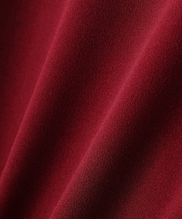 AMERICAN HOLIC 【先行予約】【WEB限定】マルチ機能：袖ボリュームプルオーバー Bordeaux