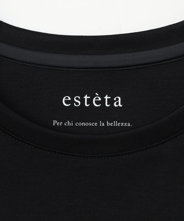 23区 【エステータ】スーピマコットン プレミアムジャージー 半袖クロップド丈Tシャツ ブラック系