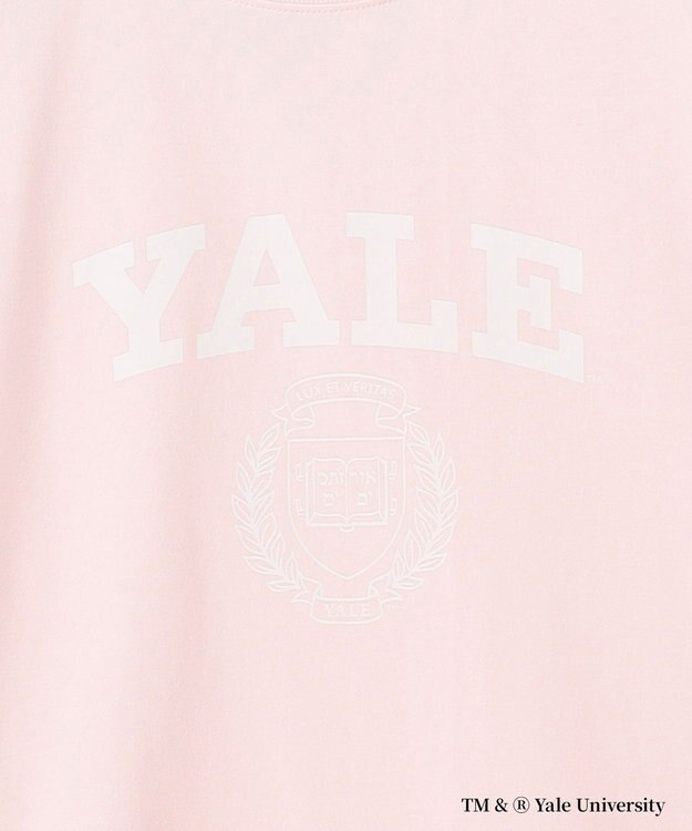 J.PRESS YORK STREET 【YALE別注】【UNISEX】カレッジ プリント Tシャツ ピンク系