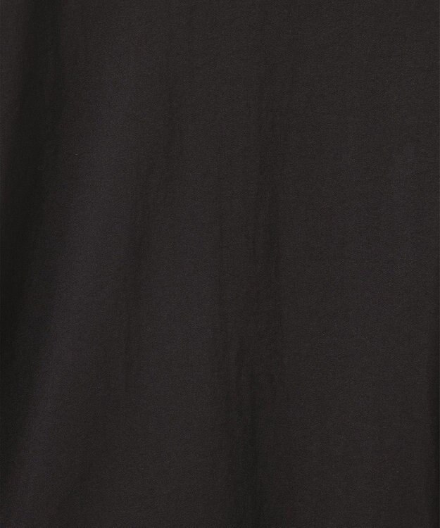 ANY L タックスリーブブラウス ブラック