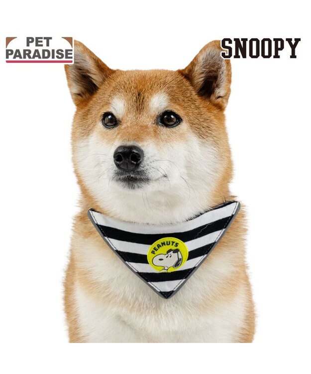 PET PARADISE スヌーピー ＪOE COOL 反射首輪 リバーシブル仕様  ＳＭ ホワイト×グレー
