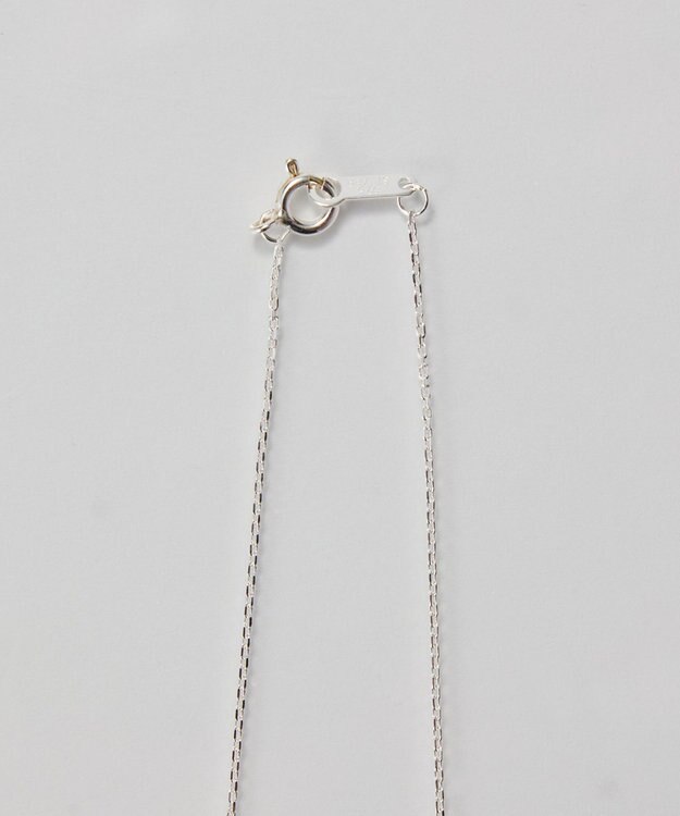 Phoebe 【SV925】シルキーシャインオーバルチェーンネックレス シルバー