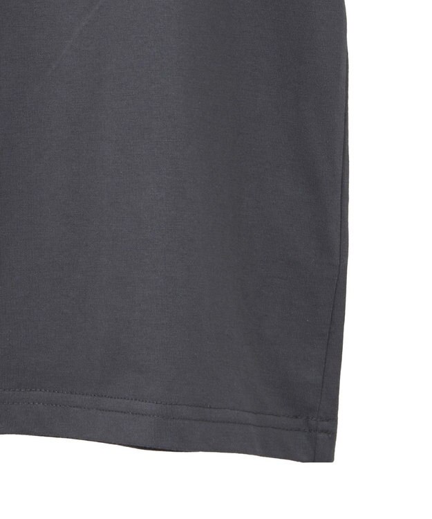 Green Parks ・ＤＯＵＢＬＥ　ＦＬＡＧＳ　ローズチェーン刺繍ＴＥＥ Charcoal Gray