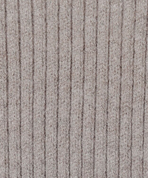 ANY SIS 【洗える】ネックパール調リブ ニット グレージュ