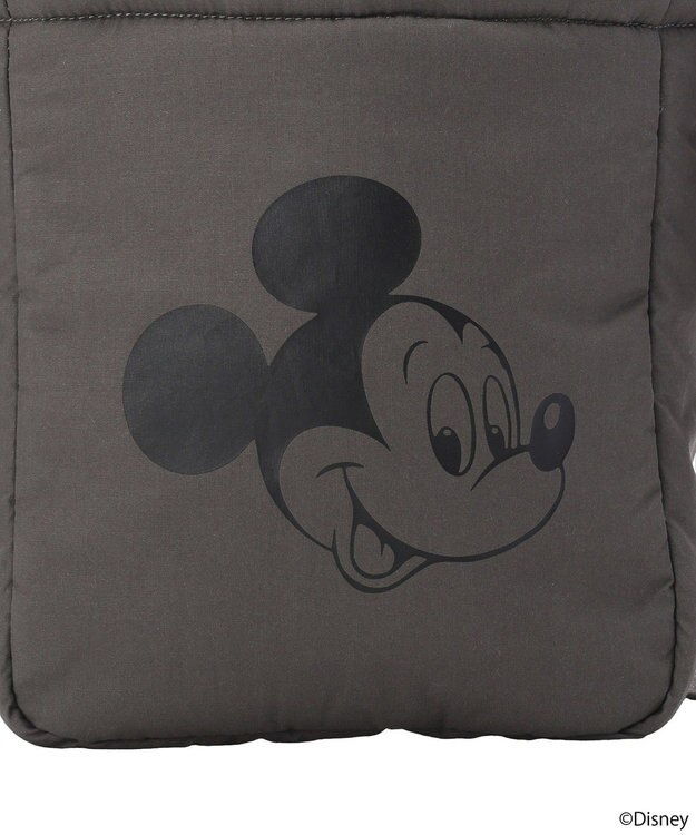 earth music&ecology 【予約】Disney/アソートショルダーバッグ チャコールグレー