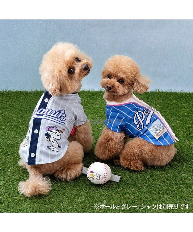 PET PARADISE スヌーピー ベースボール Ｔシャツ 《ブルー》 小型犬 ブルー
