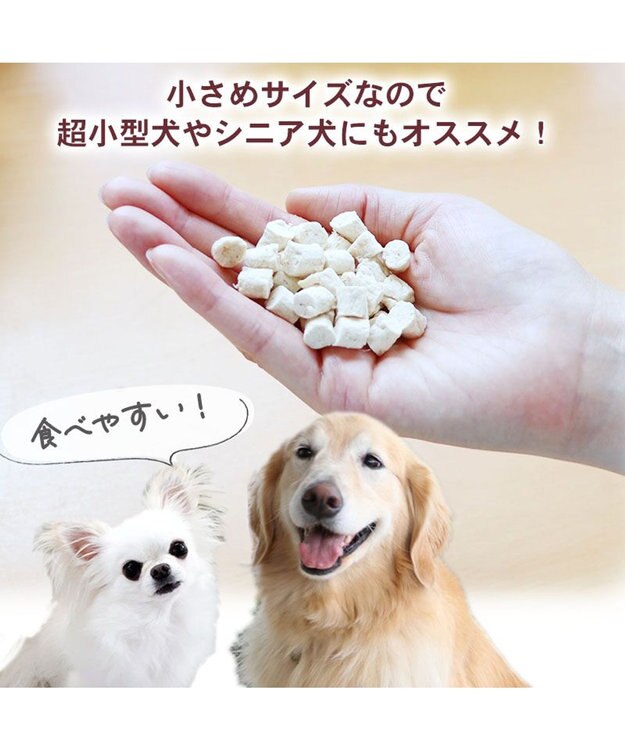 PET PARADISE  スヌーピー 鶏むね肉と軟骨 23g フリーズドライ -