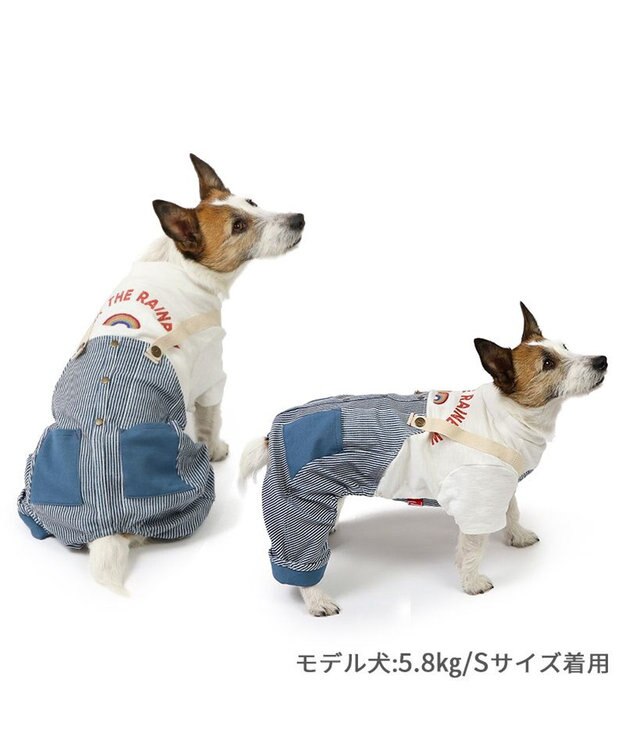 PET PARADISE ペットパラダイス パンツつなぎ 《ヒッコリー風》 小型犬 ヒッコリー風