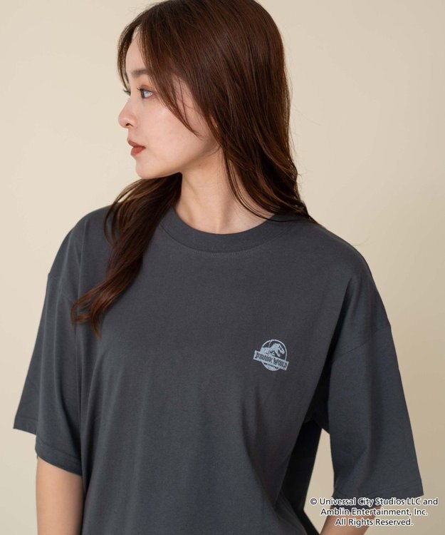 WEGO 【ユニセックス着用ITEM/SMLサイズ展開】JURASSIC　PARKグラフィックT（S） 柄4