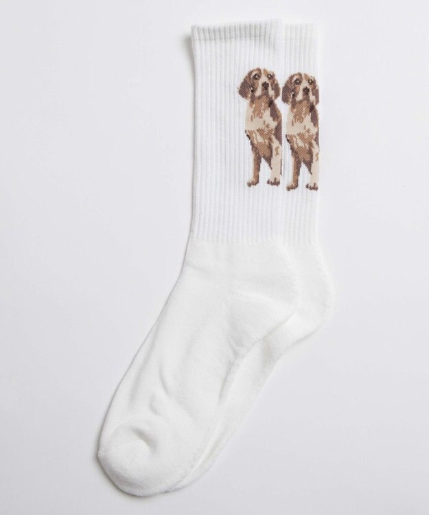 WEGO パターンデザインソックス（R） 柄12