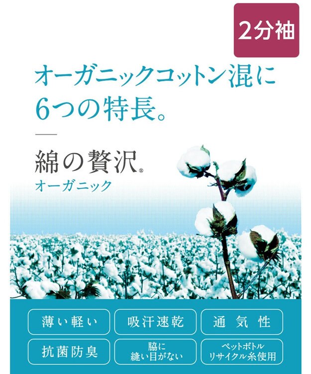 Wing 春夏インナー　２枚セット　【綿の贅沢オーガニック】　薄くて軽くてさらっと快適　２分袖　ウイング／ワコール　EL2354 ブルー