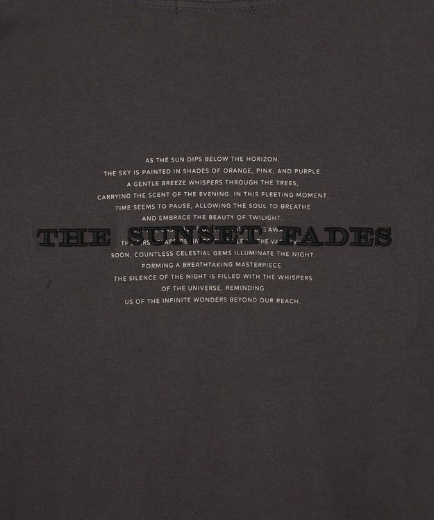 AMERICAN HOLIC STARLY 刺繍ロゴTシャツ Charcoal Gray