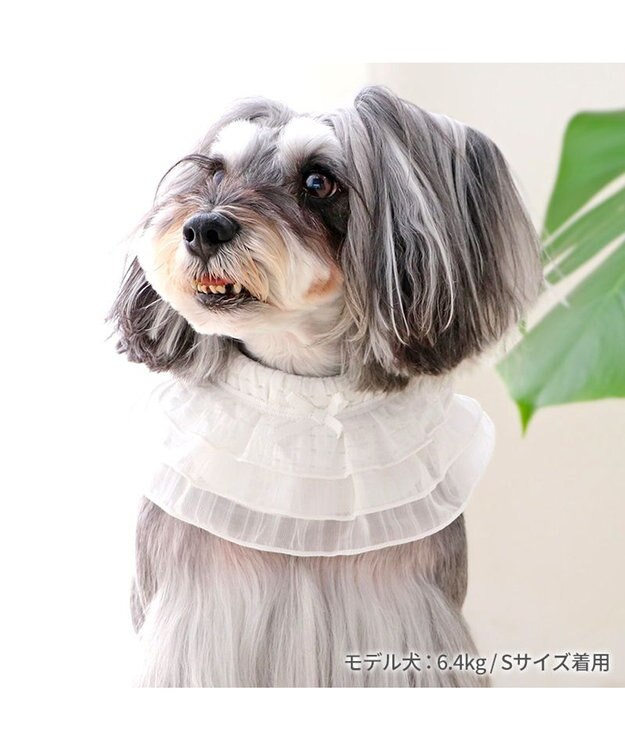 PET PARADISE ペットパラダイス クールバンダナ 《フリル》 小型犬 フリル